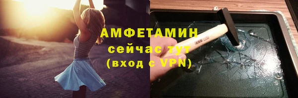 СК Алексин