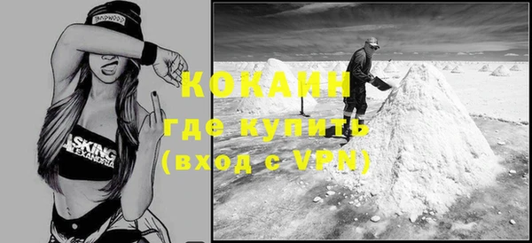СК Алексин