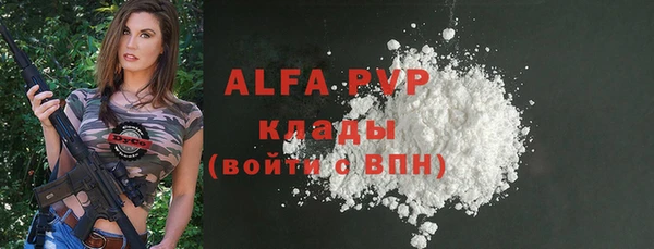 СК Алексин